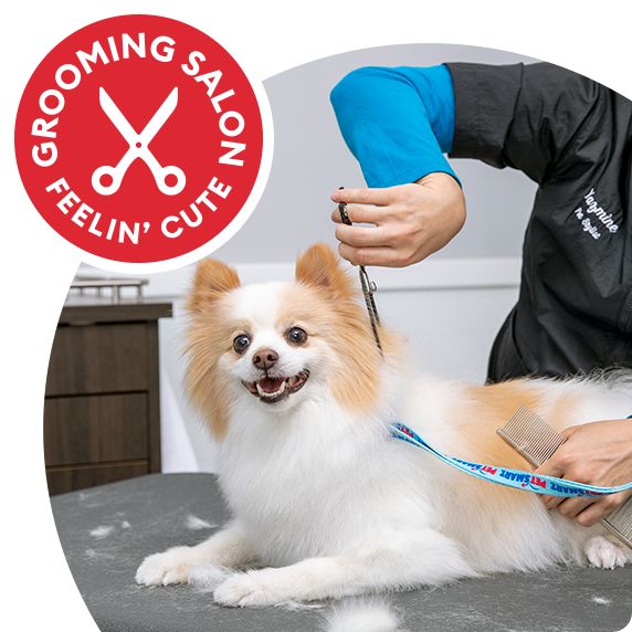 Grooming Salon