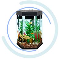 snap Gelukkig Zoekmachinemarketing Aquariums & Fish Tanks for Sale - Shop Size, Brand, & Price | PetSmart