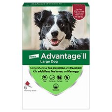 Advantage 2024 flea petsmart