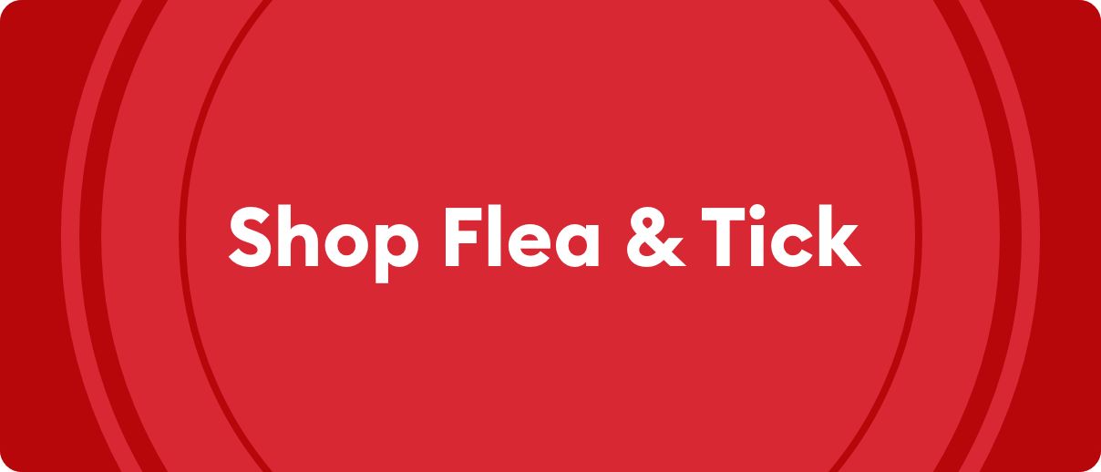 Shop dog flea & tick