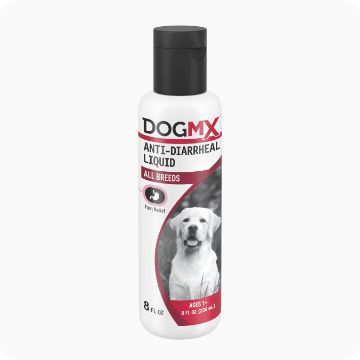 Dog dna clearance test kit petsmart