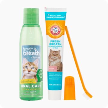 Dental and Breath Care