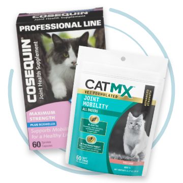 Calming treats clearance for cats petsmart