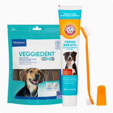 Petsmart best sale dog accessories