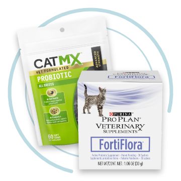 Cat Health Care & Wellness - Products, Services & Resources