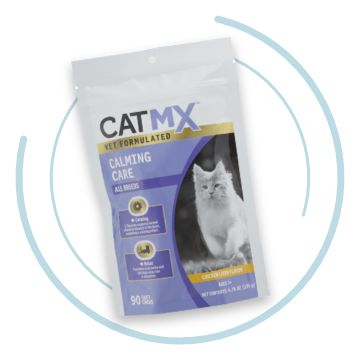 Cat Health Care Wellness Products Services Resources PetSmart