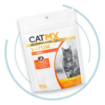 Cat Health Care Wellness Products Services Resources PetSmart