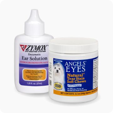 Dog ear shop infection medication petsmart