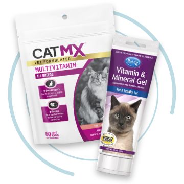 Advantix for hotsell cats petsmart