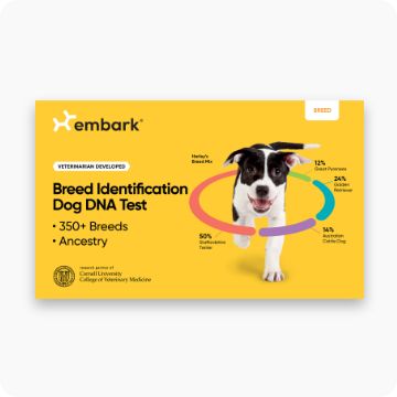 Missing link clearance dog supplement petsmart