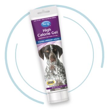 Dog Health Care Wellness Products Services Resources PetSmart