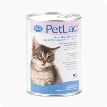 Diapers for cheap cats petsmart