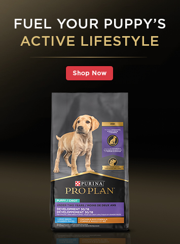 Fuel Your Puppy's Active Lifestyle Shop Now Purina Pro Plan 
