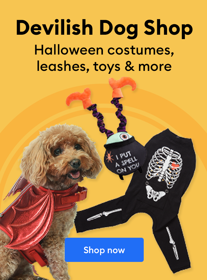 Devilish Dog Shop - Halloween costumes, leashes, toys & more