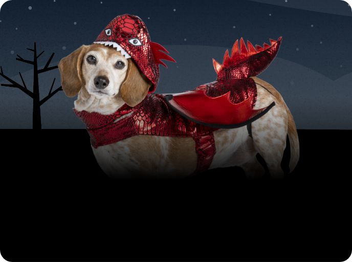 Dog Costumes Small & Large Dog Halloween Costumes PetSmart