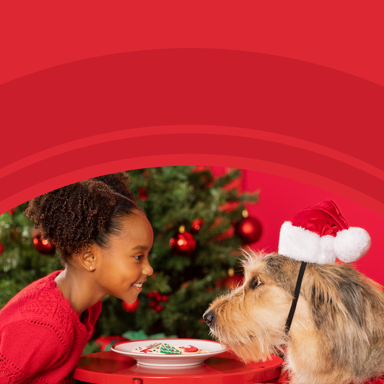 Where Do Pet Stores Get Their Puppies