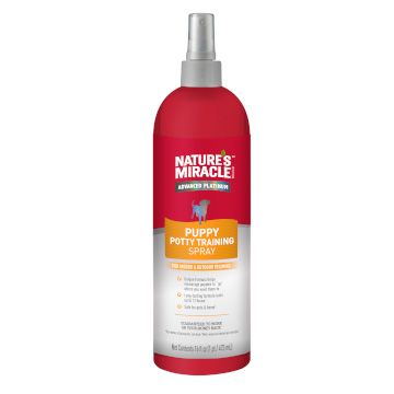 Petsmart carpet shampoo best sale