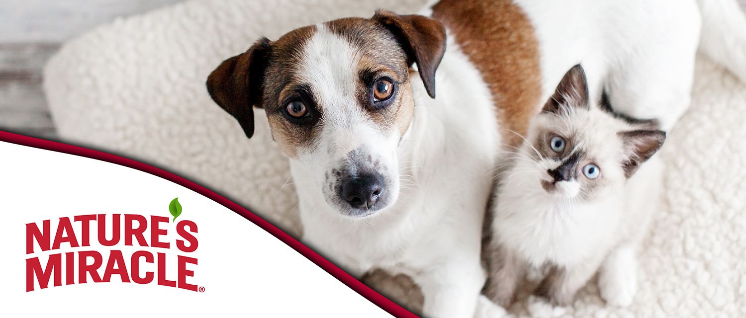 Nature's Miracle Pet Products | PetSmart
