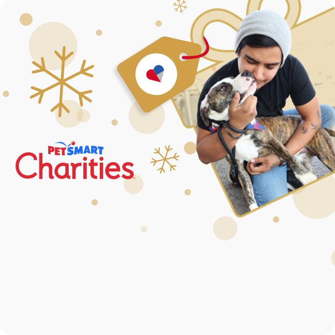 Does Petsmart Carry American Journey Dog Food