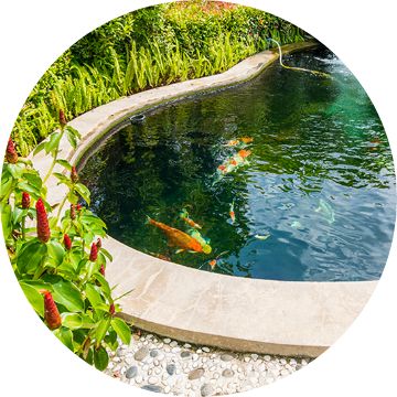 Tetra® TetraPond Goldfish and Koi Pond Sticks, fish Pond Care, PetSmart