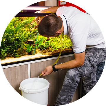 Betta care image