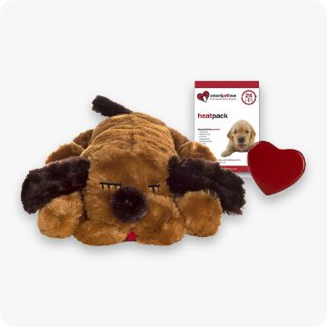 Petsmart puppy clearance toys