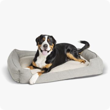 Dog Supplies: Food, Treats, Flea & Tick, Crates & More