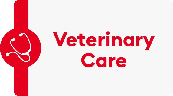 Veterinary Care