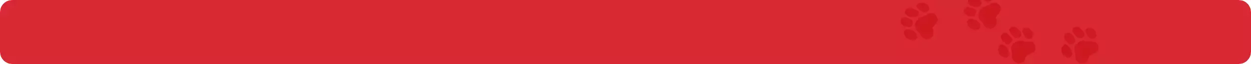 red solid background with faint paw prints