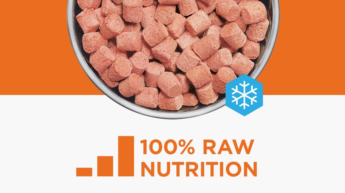 100 percent raw nutrition food bowl