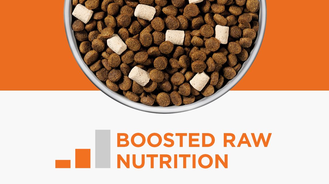 Instinct raw and kibble