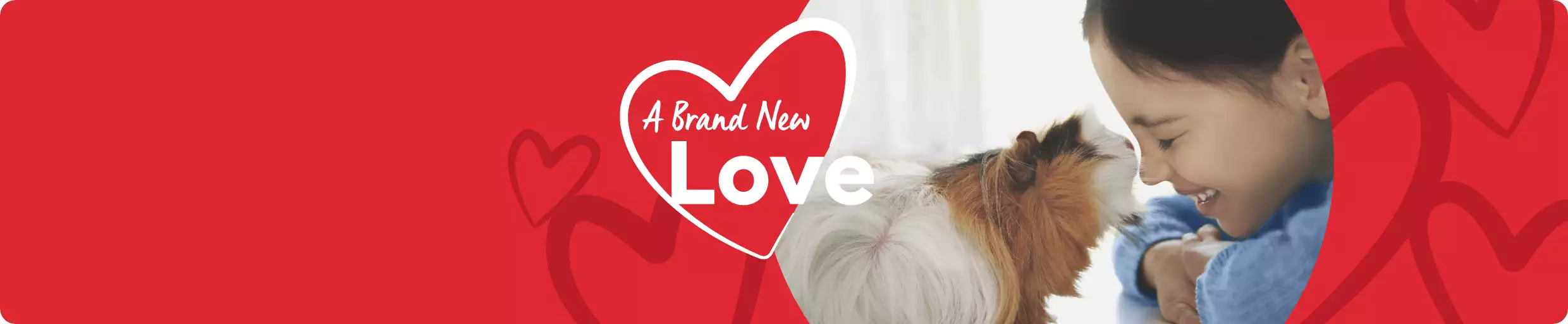 A Brand-New Love for your small pet