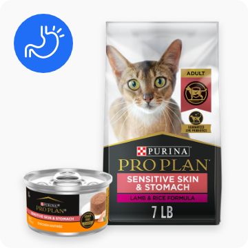 Ziwipeak cat outlet food petsmart