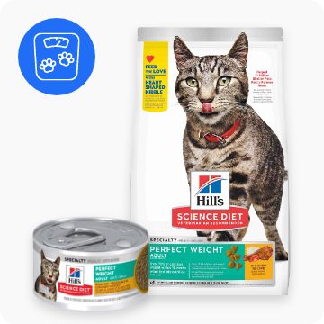 Petsmart kitten dry clearance food