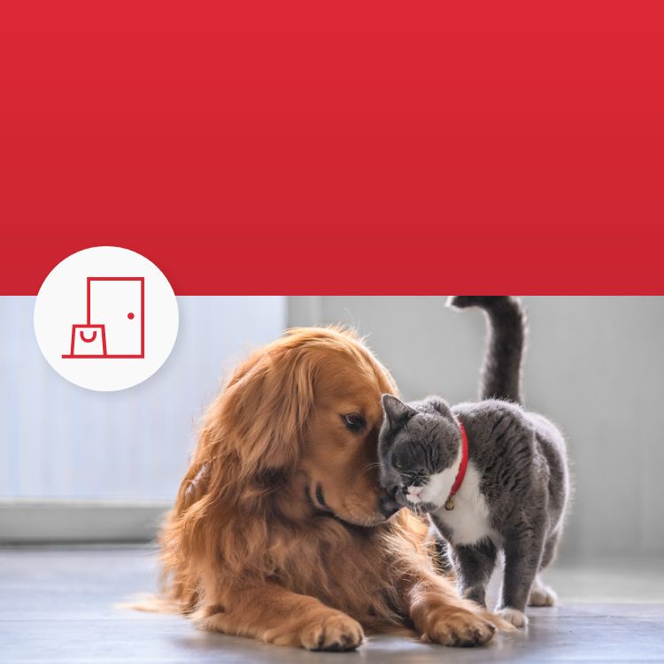 Log Cabin Dog House Petsmart atelieryuwa.ciao.jp