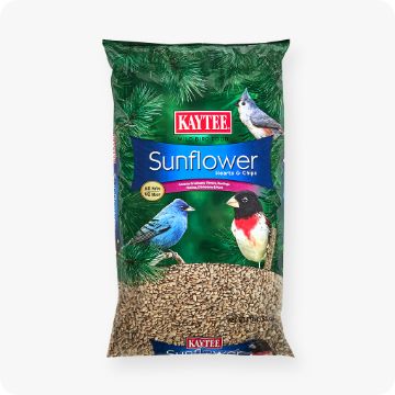 Kaytee Sunflower bird seed