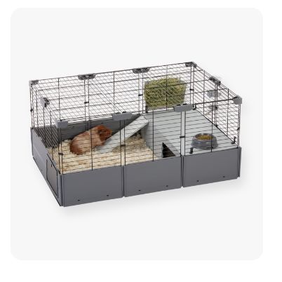 Petsmart rabbit outlet supplies