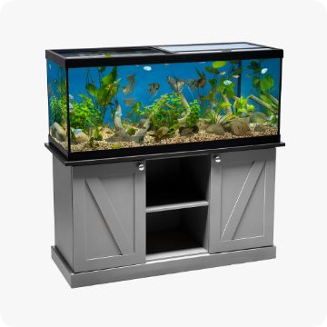 Large aquarium & stand