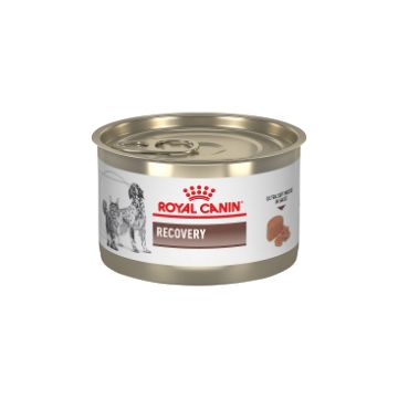 Royal Canin Recovery|TM|