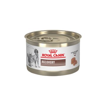  Royal Canin Recovery Can Pet Food 24pk