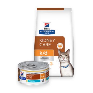 Kidney friendly cat outlet treats