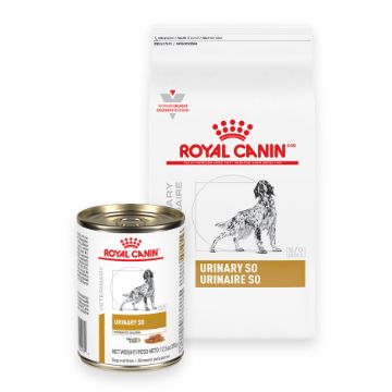 Royal canin urinary hotsell so dog food canada