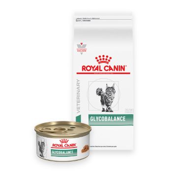 Royal canin clearance glycobalance cat food