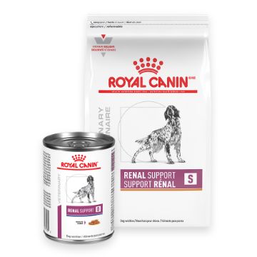 Buy Royal Canin Dog Food Recovery online