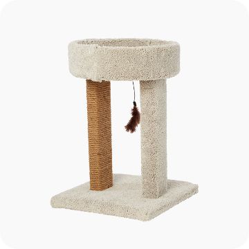 Petsmart cat clearance accessories