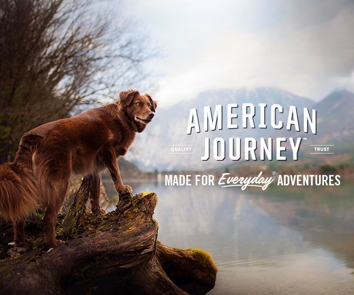 american journey puppy food