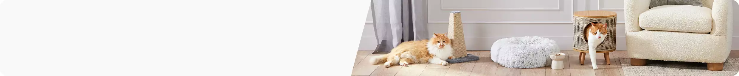 Cat laying by a cat scratcher and a second cat climbing out of a cat lounger