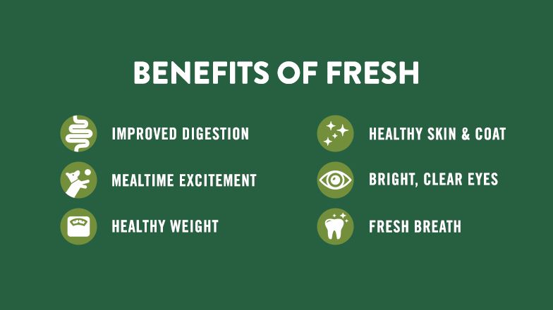 Benefits of Fresh Food