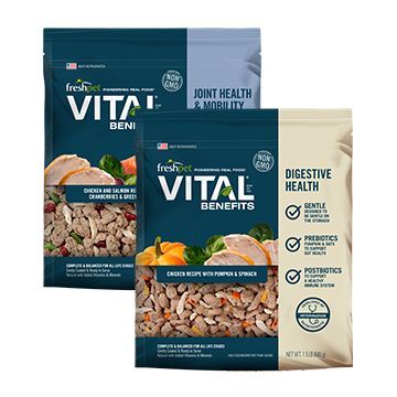 Freshpet vital grain free hotsell puppy food