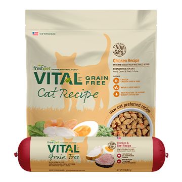 Freshpet vital puppy clearance food